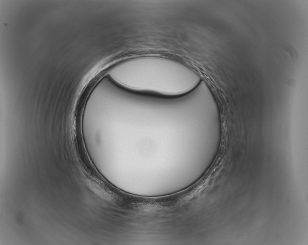 X0000111350246200907100941