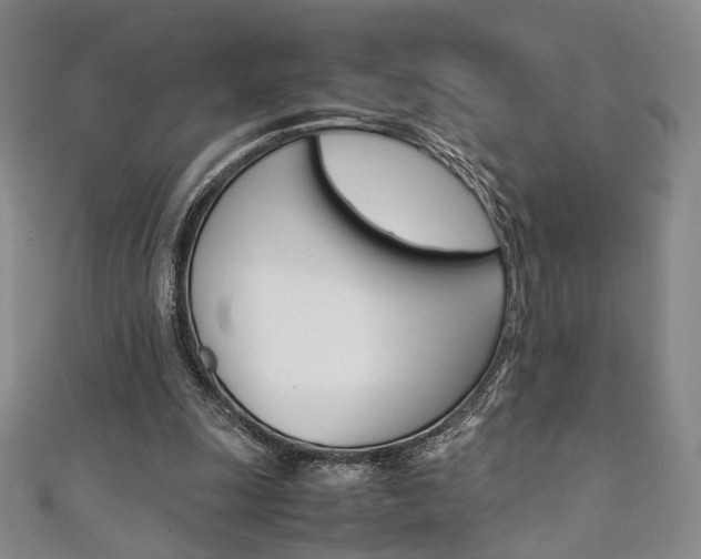 X0000111350247200907100941