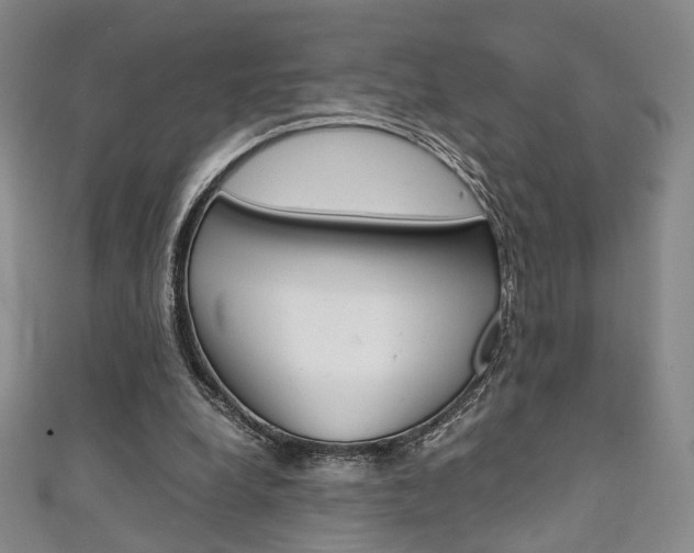 X0000111350248200907100941