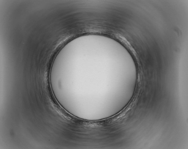 X0000111350249200907100941
