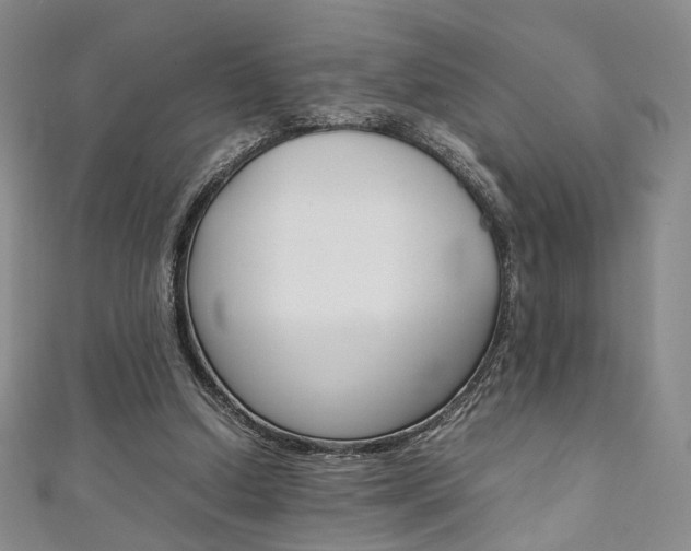X0000111350250200907100941