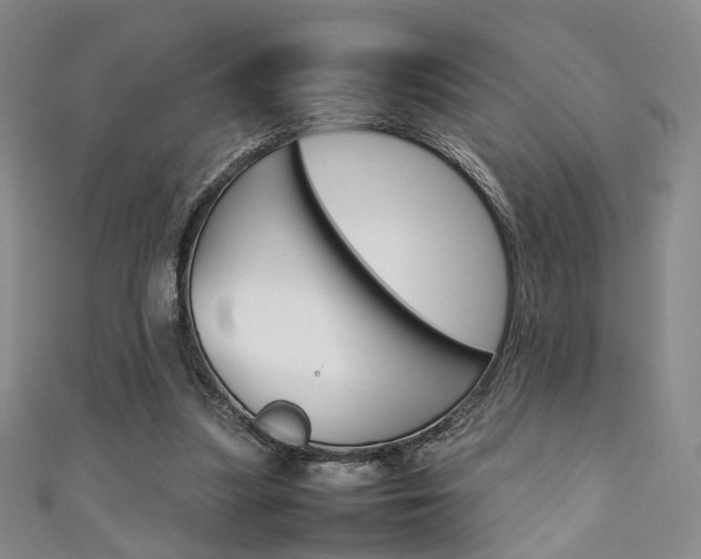 X0000111350251200907100941