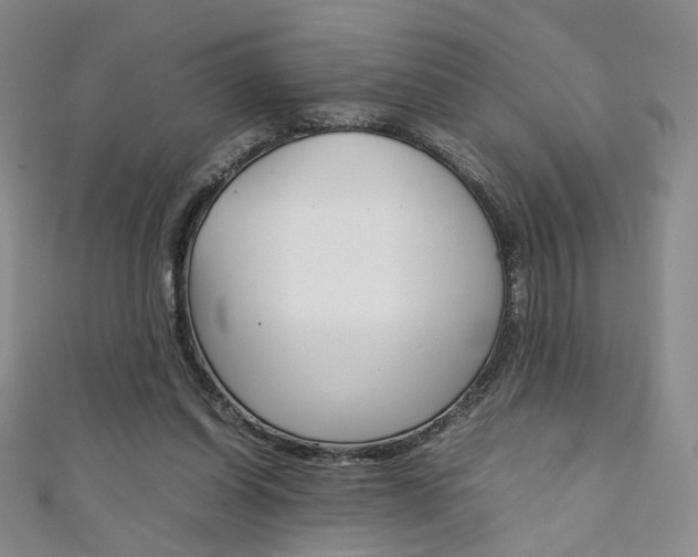 X0000111350254200907100941
