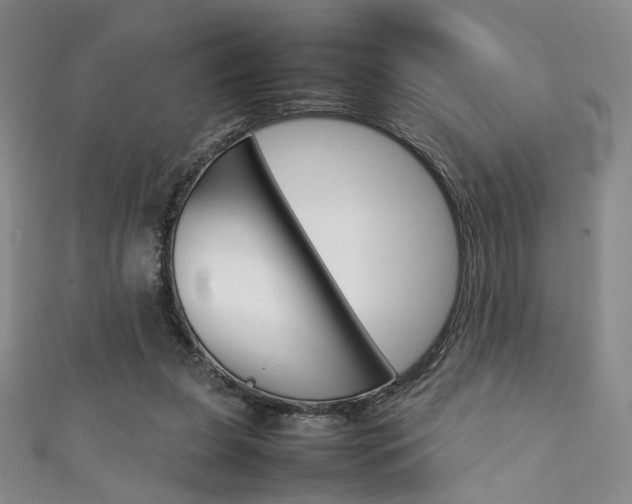X0000111350255200907100941