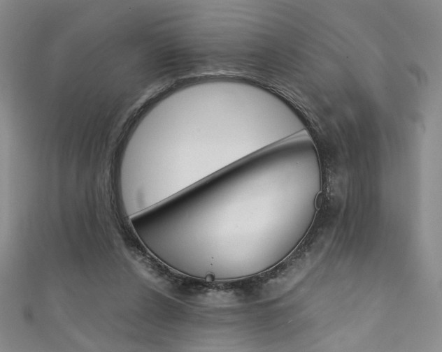 X0000111350256200907100941