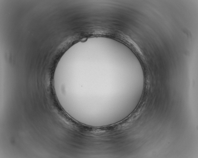 X0000111350257200907100941
