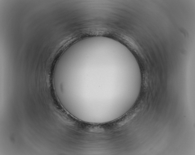 X0000111350258200907100941