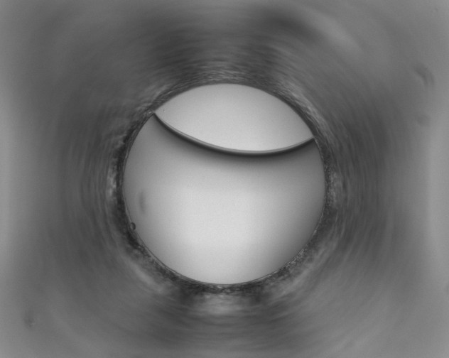 X0000111350259200907100941