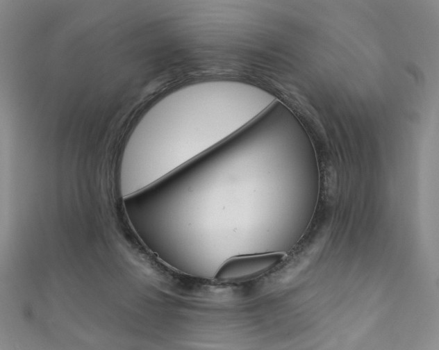 X0000111350260200907100941