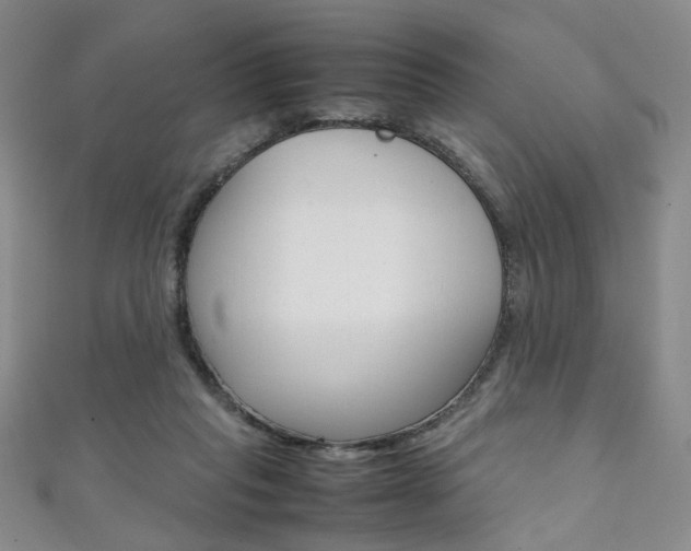 X0000111350261200907100941