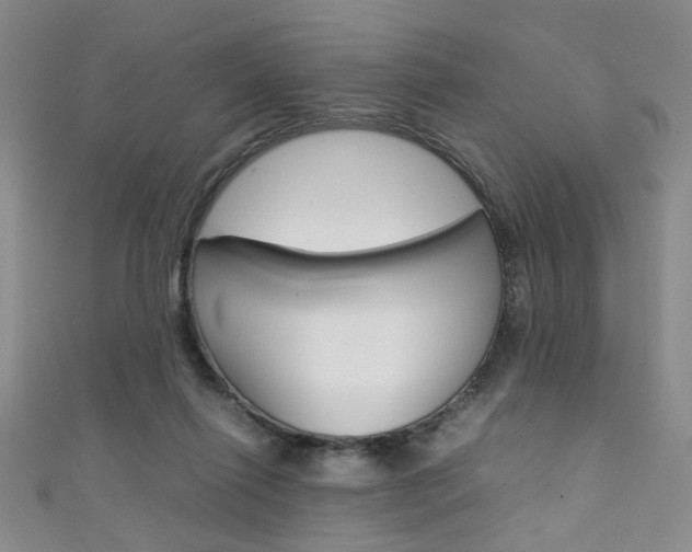 X0000111350262200907100941
