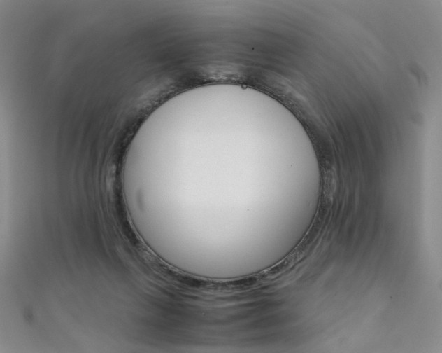 X0000111350263200907100941