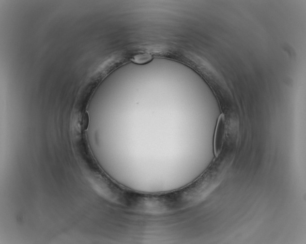 X0000111350264200907100941
