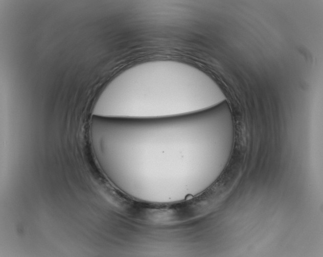 X0000111350266200907100941