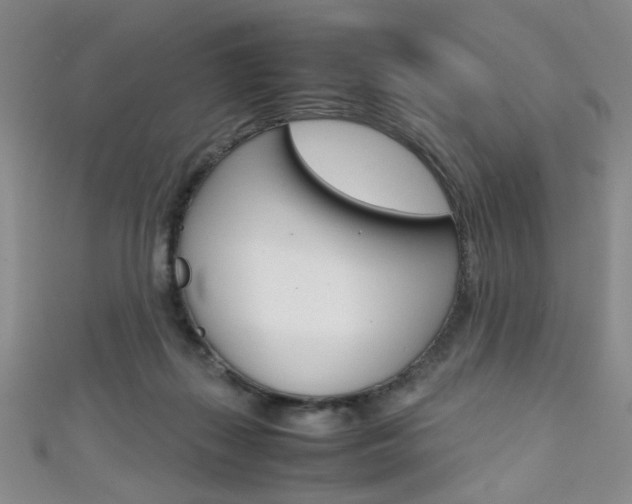 X0000111350267200907100941