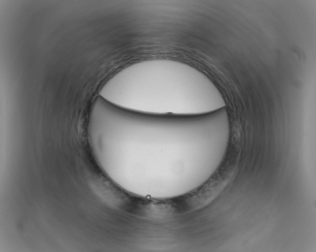 X0000111350270200907100941