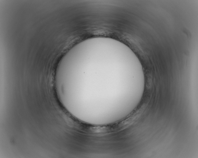 X0000111350273200907100941