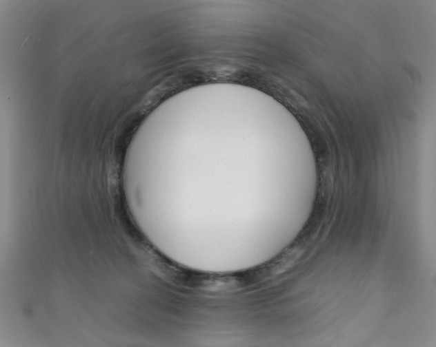 X0000111350274200907100941