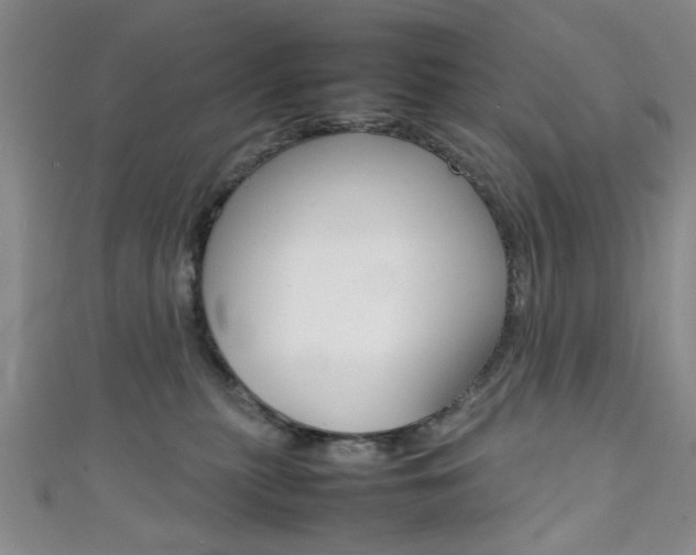X0000111350279200907100941