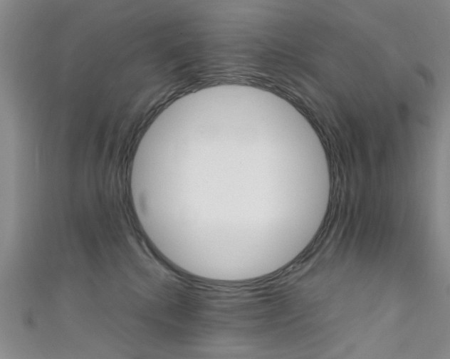X0000111350280200907100941