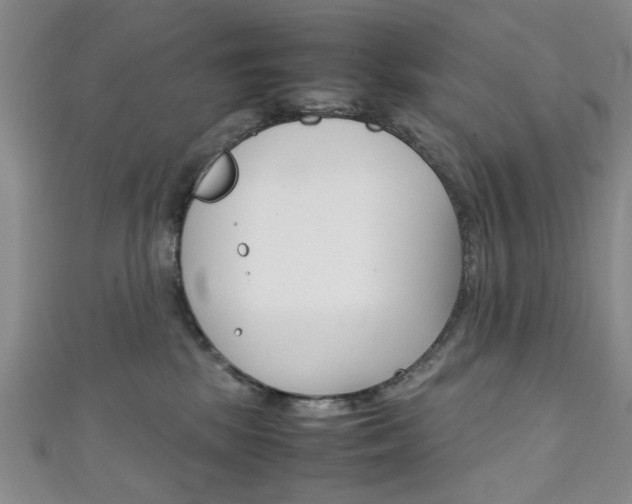 X0000111350281200907100941