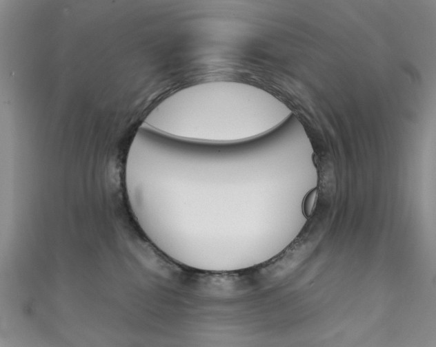 X0000111350282200907100941