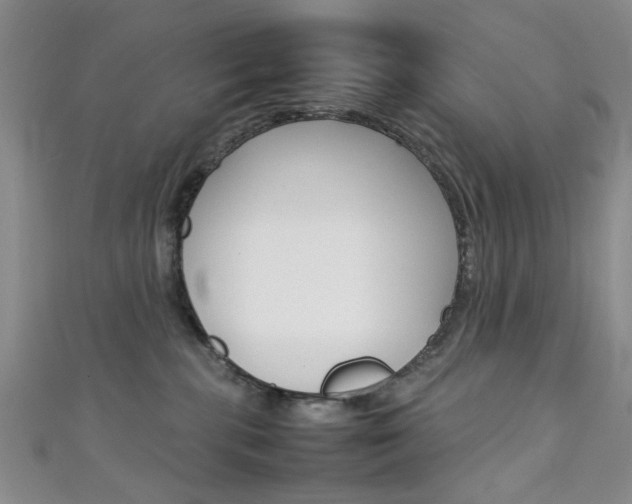 X0000111350283200907100941