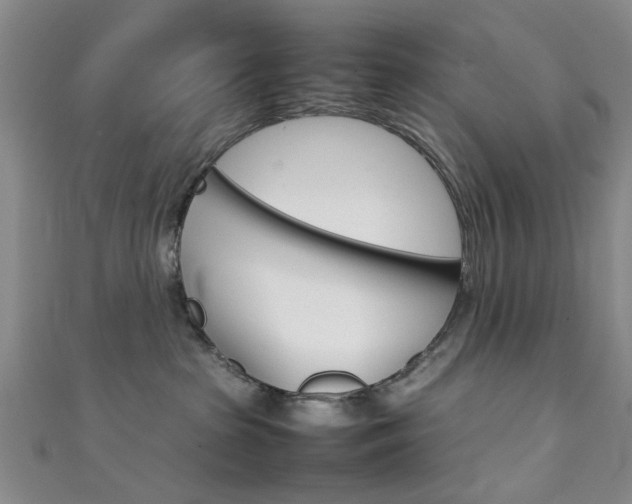 X0000111350285200907100941