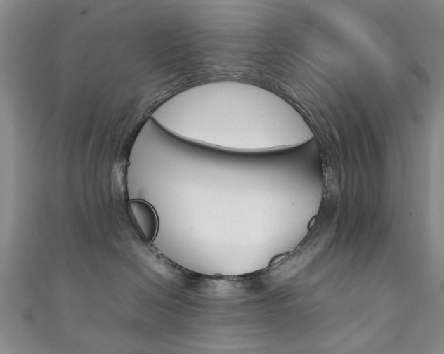 X0000111350286200907100941
