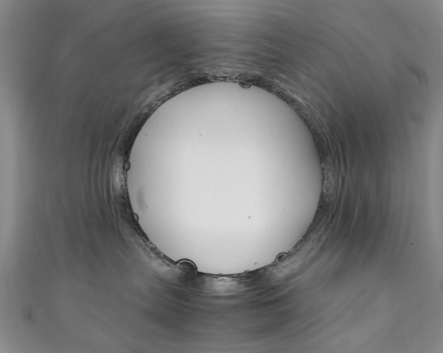 X0000111350287200907100941