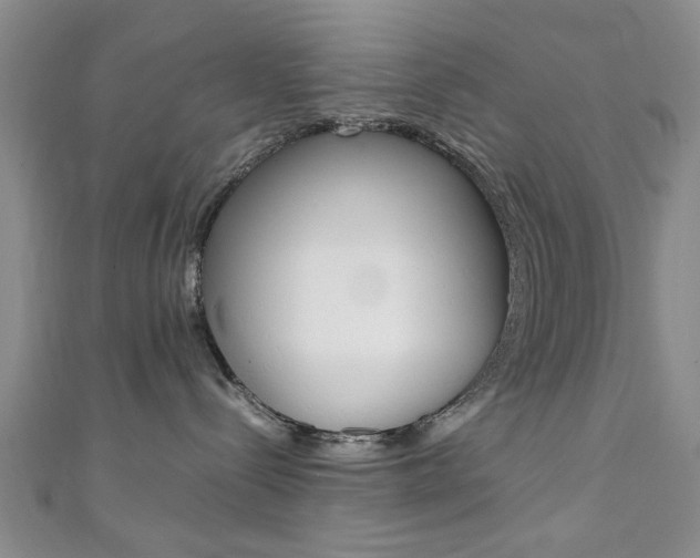 X0000111350288200907100941