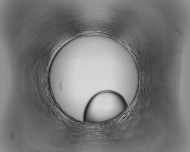 X0000111350289200907100940