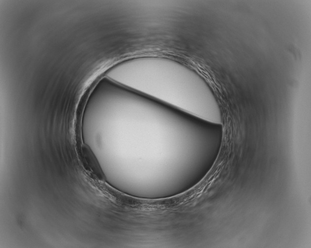 X0000111350292200907100940