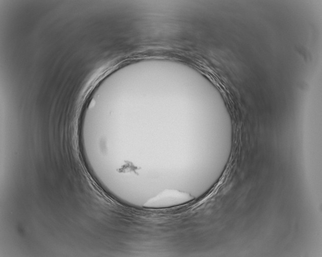 X0000111350293200907100940
