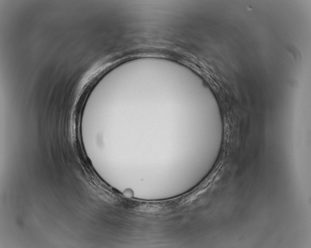X0000111350294200907100940