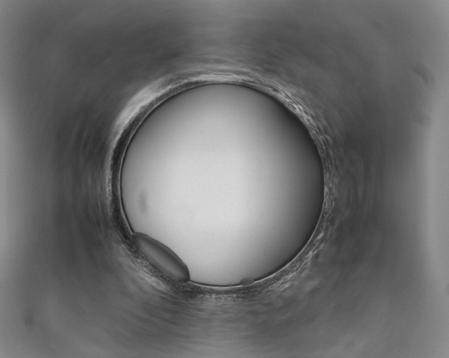 X0000111350296200907100940