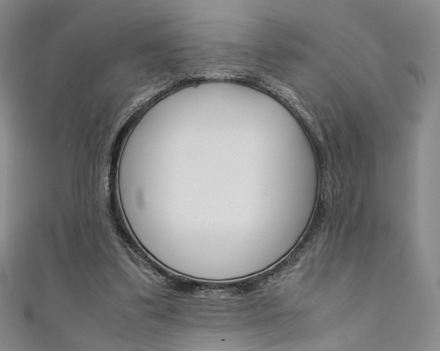 X0000111350299200907100940