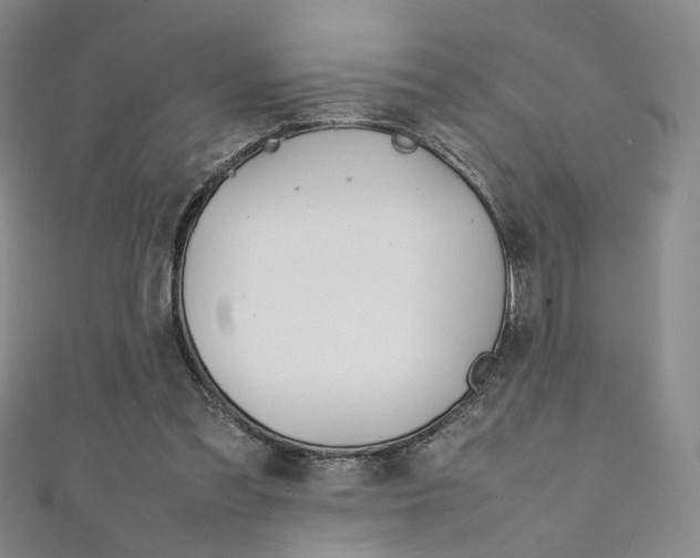 X0000111350301200907100940