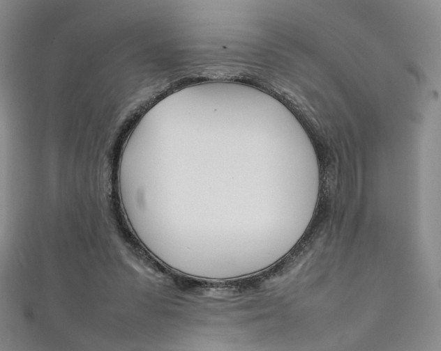 X0000111350303200907100940
