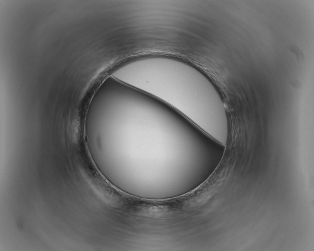 X0000111350304200907100940