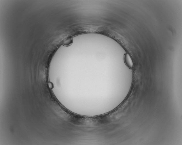X0000111350305200907100940