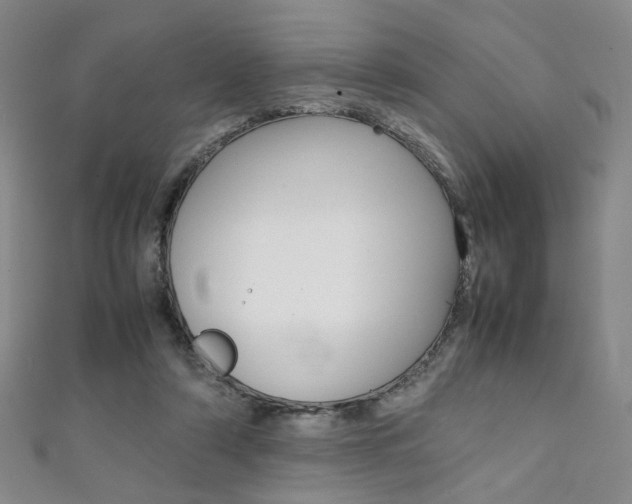 X0000111350306200907100940