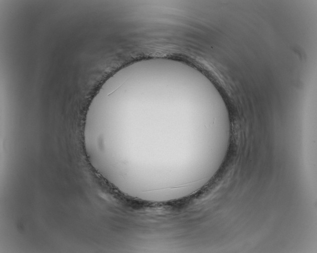 X0000111350307200907100940