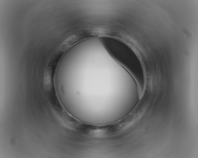 X0000111350312200907100940