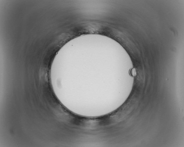 X0000111350313200907100940