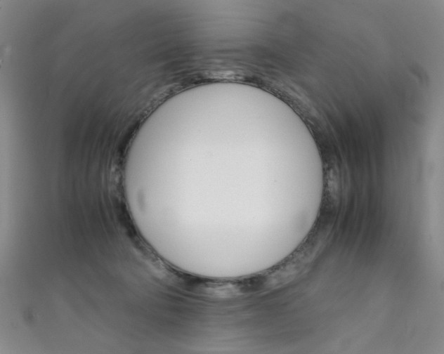 X0000111350322200907100940