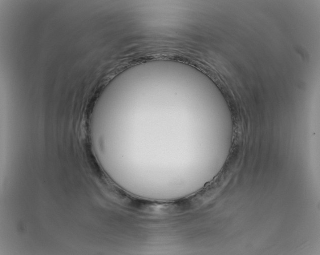 X0000111350323200907100940