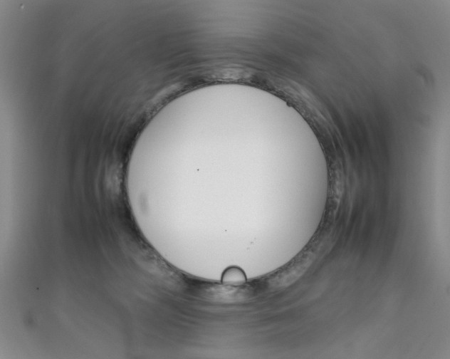 X0000111350326200907100940