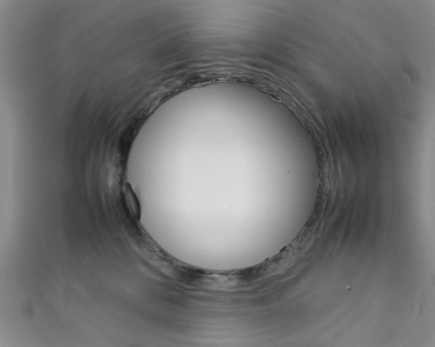 X0000111350328200907100940