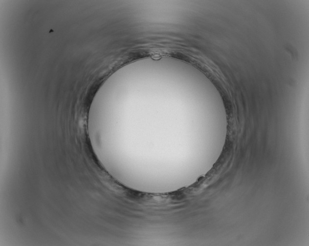 X0000111350329200907100940